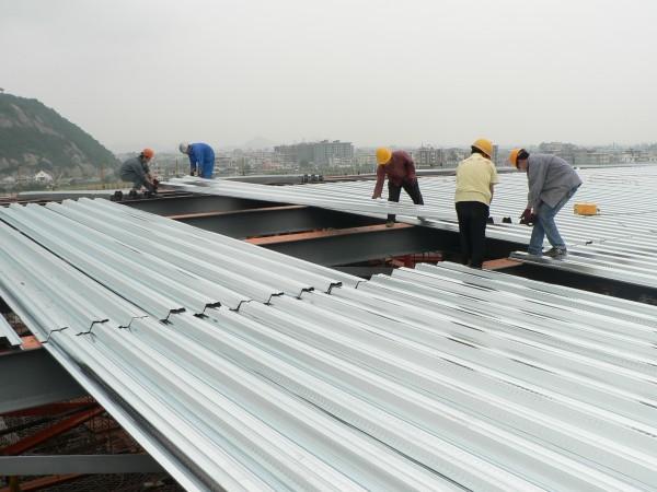 Rolo da plataforma de assoalho da construção de aço que forma a máquina para a plataforma do telhado, telha de aço TW-FD1250